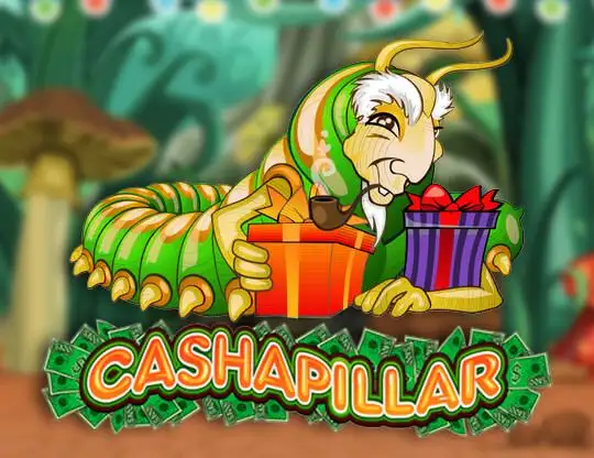 Cashapillar Casino Online | Spela med Riktiga Pengar
