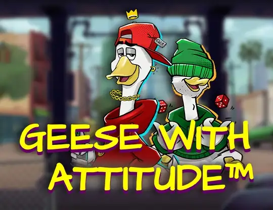 Geese with Attitude
