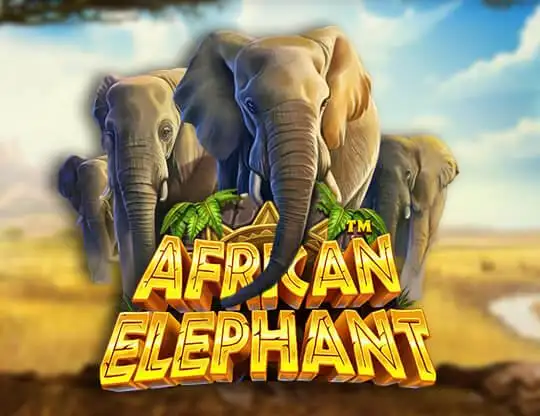 African Elephant Casino Online | Spela med Riktiga Pengar