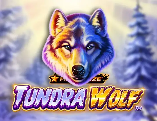 Fire Blaze: Tundra Wolf Slot - Spela med riktiga pengar