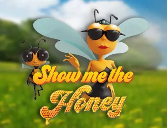 Show me the Honey Slots med Riktiga Pengar | Online Casino