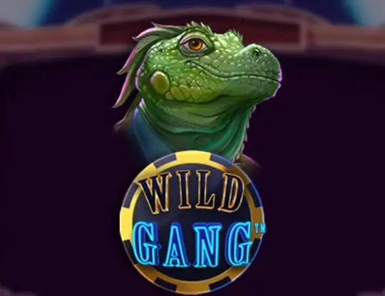 Wild Gang Slot med Riktiga Pengar | Bästa Casino