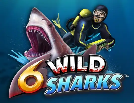 6 Wild Sharks