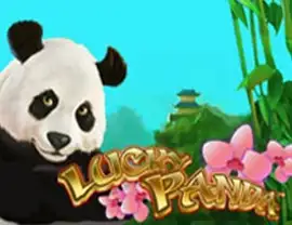 Lucky Panda by Casino | Spelautomater med Riktiga Pengar Sverige