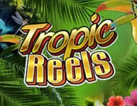 Tropic Reels Casino | Spelautomater med Riktiga Pengar Sverige
