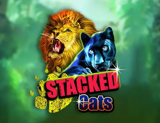 Stacked Cats Casino Online | Spela med Riktiga Pengar