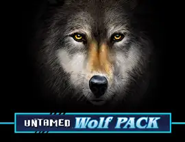 Untamed Wolf Pack Casino Online | Spela med Riktiga Pengar