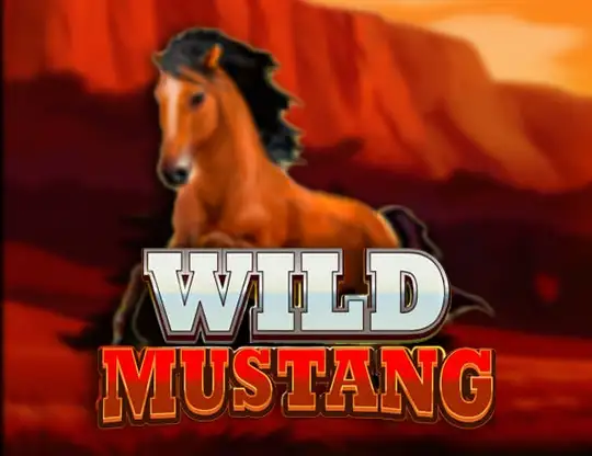 Wild Mustang