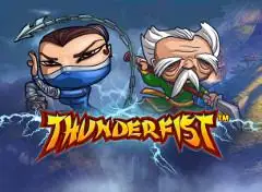 Thunderfist Casino Online | Spela med Riktiga Pengar