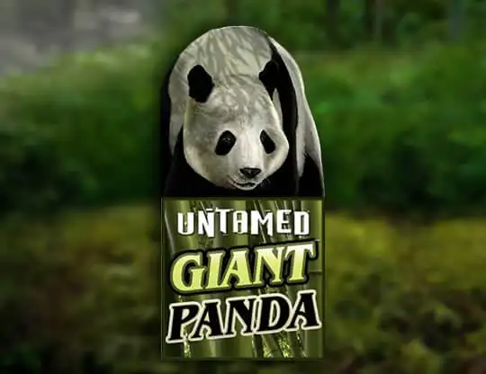 Untamed Giant Panda Casino Online | Spela med Riktiga Pengar
