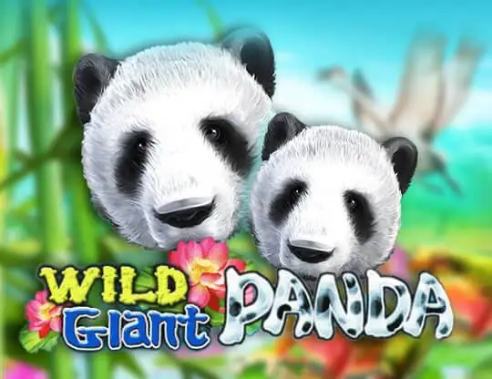 Wild Giant Panda Slot - Spela med riktiga pengar