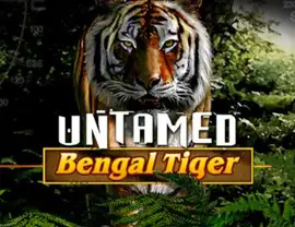 Untamed Bengal Tiger Slots med Riktiga Pengar | Online Casino