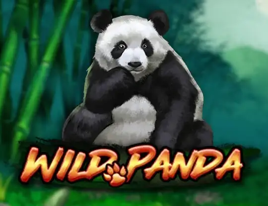 Wild Panda Casino Online | Spela med Riktiga Pengar