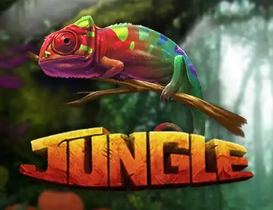 Jungle Slots med Riktiga Pengar | Online Casino