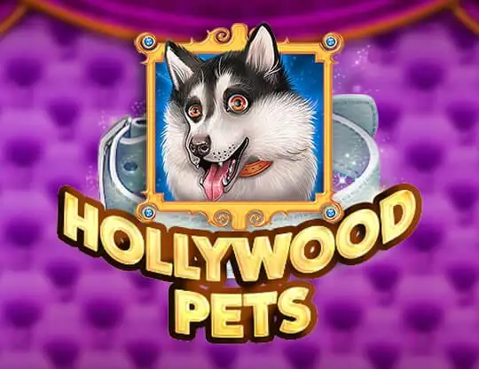 Hollywood Pets Casino Online | Spela med Riktiga Pengar