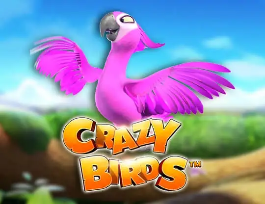 Crazy Birds Slots med Riktiga Pengar | Online Casino