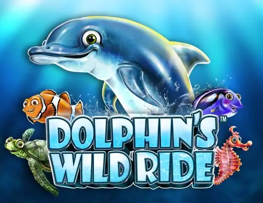 Dolphin's Wild Ride
