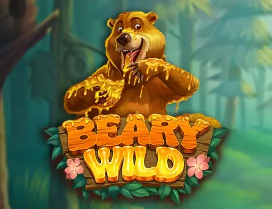 Beary Wild Slots med Riktiga Pengar | Online Casino