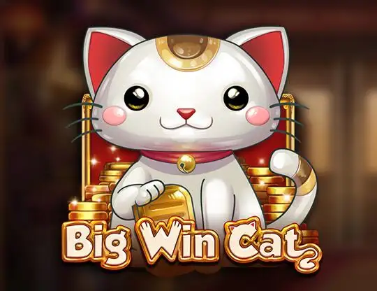 Big Win Cat Slot - Spela med riktiga pengar