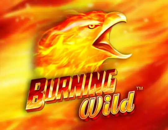 Burning Wild Slots med Riktiga Pengar | Online Casino