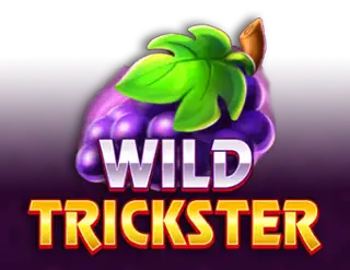 Wild Trickster Casino Online | Spela med Riktiga Pengar