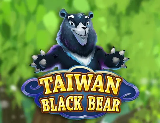 Taiwan Black Bear