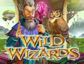Wild Wizards by Realtime Gaming