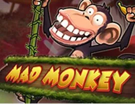 Mad Monkey by Amaya