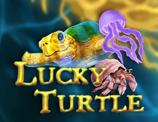Lucky Turtle