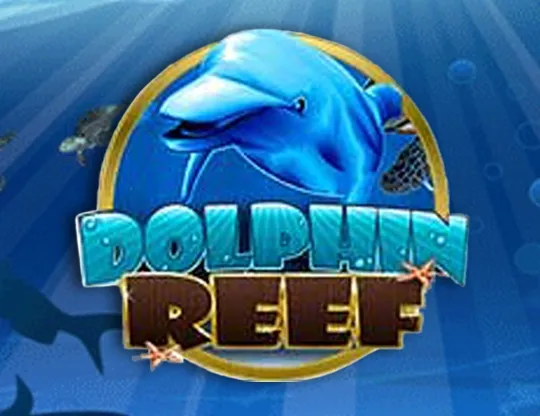 Dolphin reef