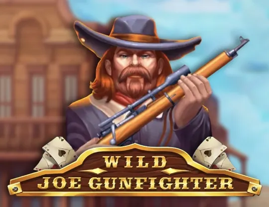 Wild Joe Gunfighter