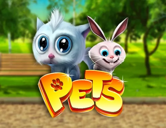 Pets Wizard games