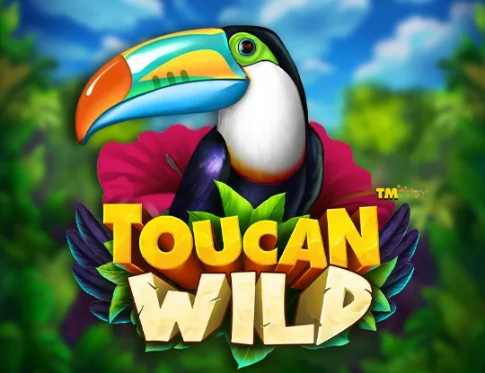 Toucan Wild