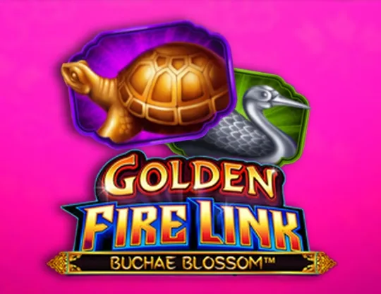 Golden Fire Link Buchae Blossom