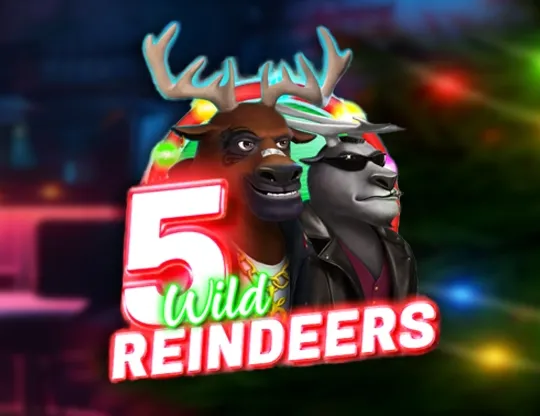 5 Wild Reindeers