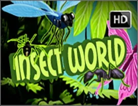 Insect World by Worldmatch