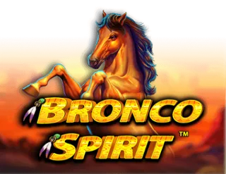 Bronco Spirit