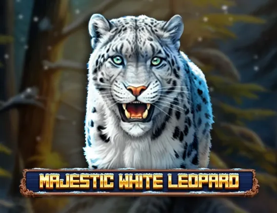 Majestic White Leopard