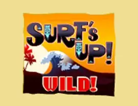 Surf's Up by Amaya