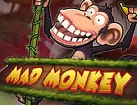 Mad Monkey by Amaya